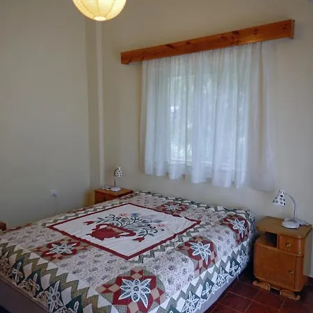 Ozena Home